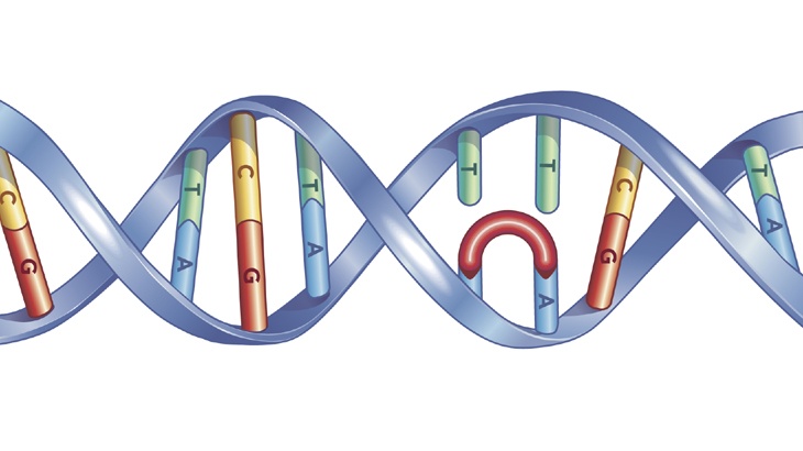 DNA.jpg